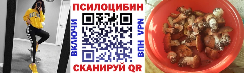 Галлюциногенные грибы прущие грибы  купить наркотики цена  Бодайбо 